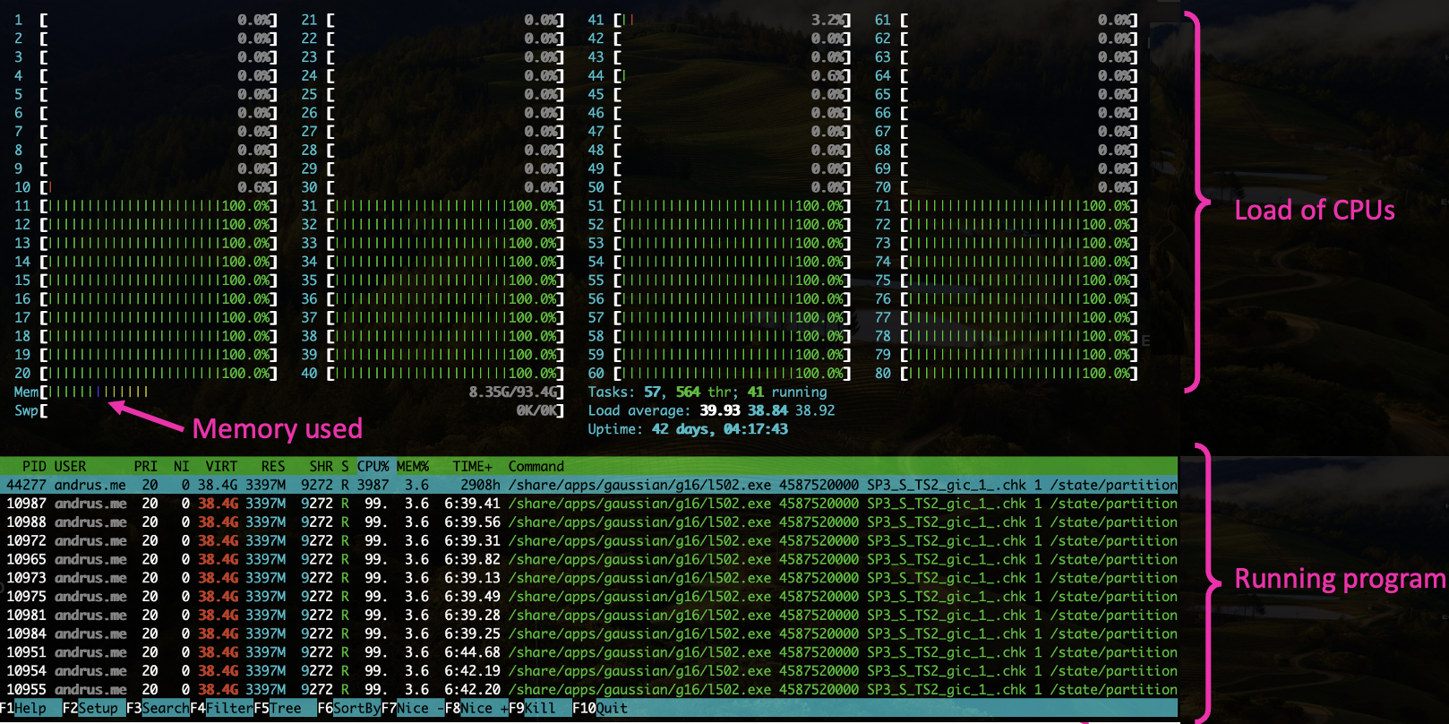 htop